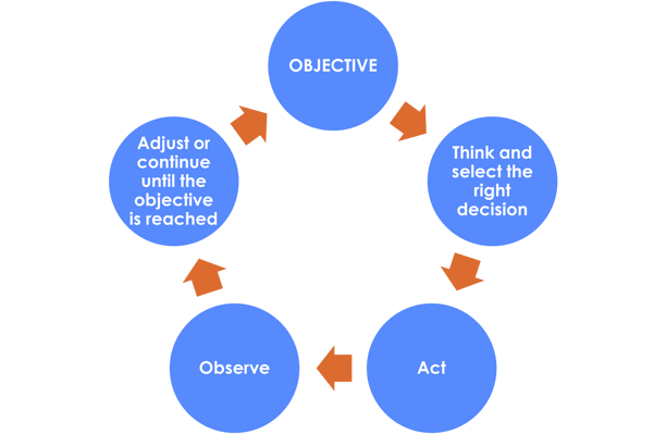 Agentic loop NOVIPRO