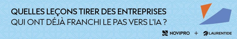 Bandeau_Blog_LaurentidesBandeau_NOVIPRO