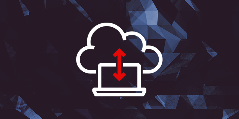 Avantages du cloud privé : un hébergement sur mesure