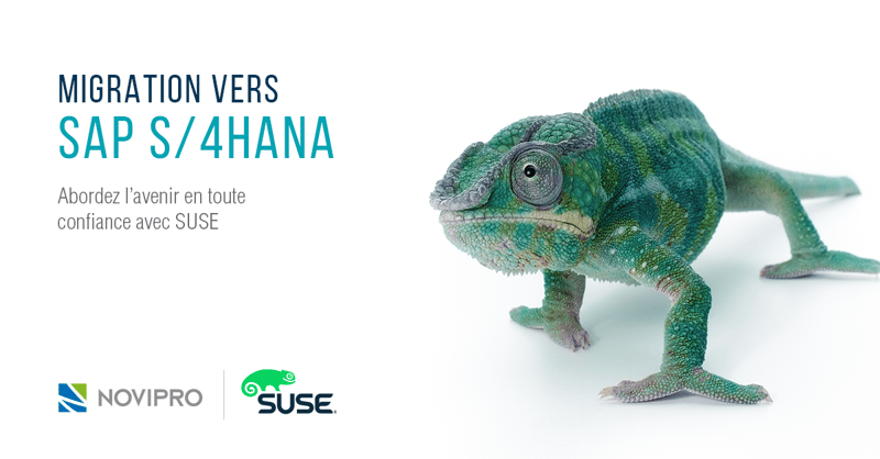 Migration vers SAP S/4HANA - Abordez l’avenir en toute confiance avec SUSE