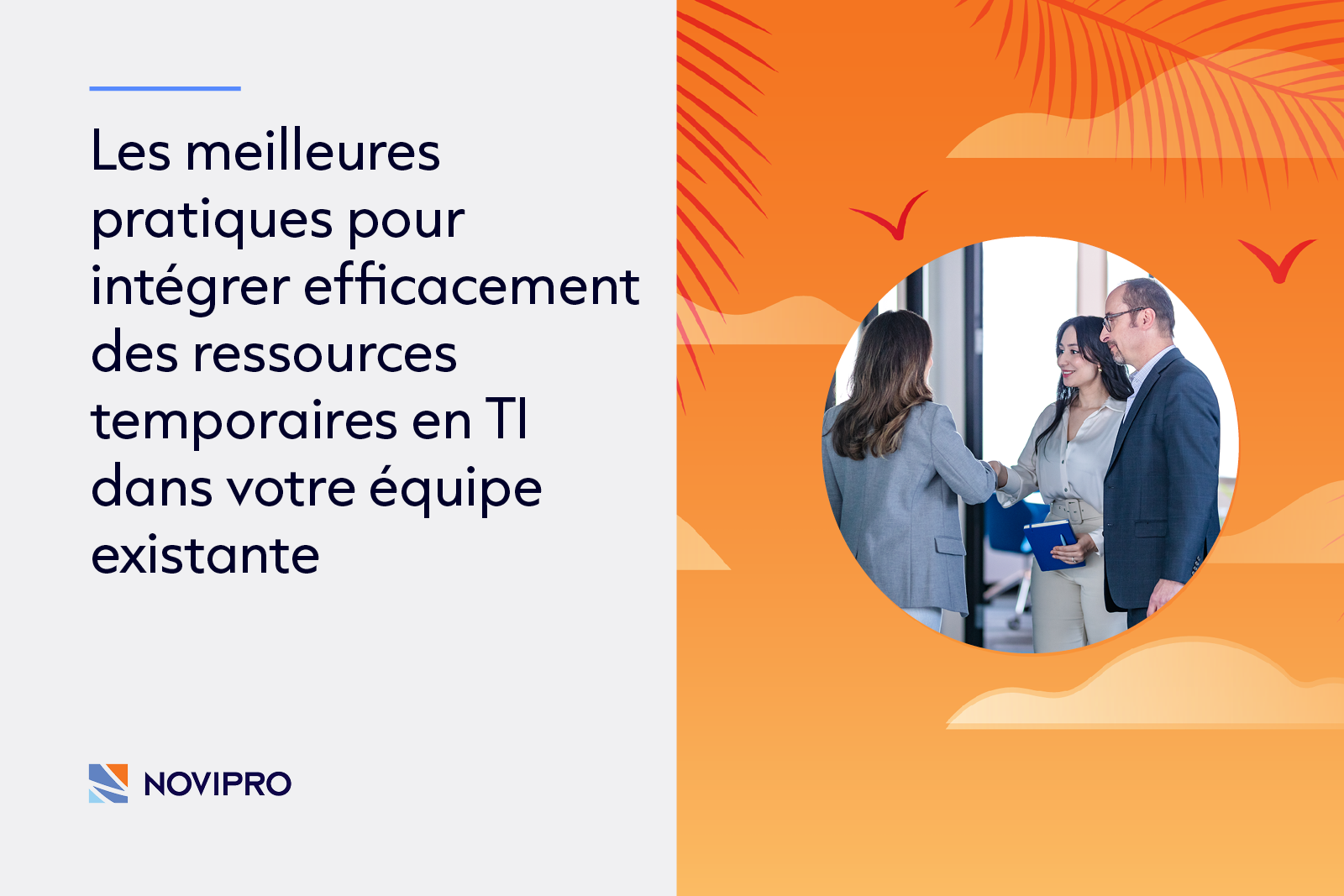 NOVIPRO Placement de ressources temporaires TI recrutement RH